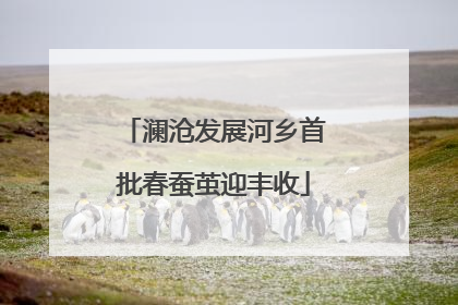 澜沧发展河乡首批春蚕茧迎丰收