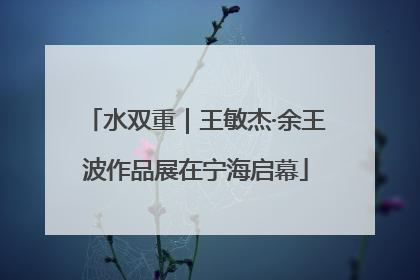 水双重｜王敏杰·余王波作品展在宁海启幕