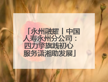 永州融耀丨中国人寿永州分公司：四力擎旗践初心 服务潇湘助发展
