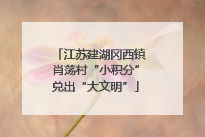 江苏建湖冈西镇肖荡村“小积分”兑出“大文明”