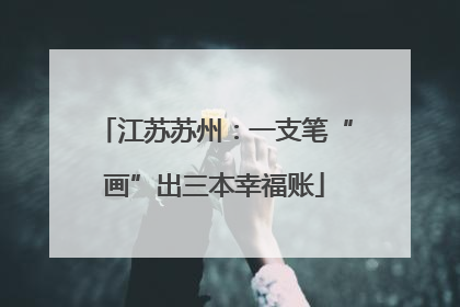 江苏苏州：一支笔“画”出三本幸福账