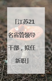 江苏21名省管领导干部，拟任新职