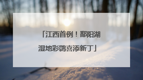 江西首例！鄱阳湖湿地彩鹮喜添新丁