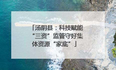 汤阴县：科技赋能“三资”监管守好集体资源“家底”