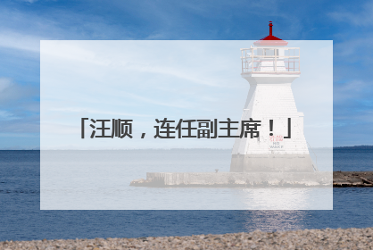 汪顺，连任副主席！