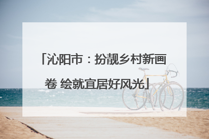 沁阳市：扮靓乡村新画卷 绘就宜居好风光