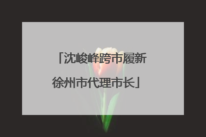 沈峻峰跨市履新徐州市代理市长
