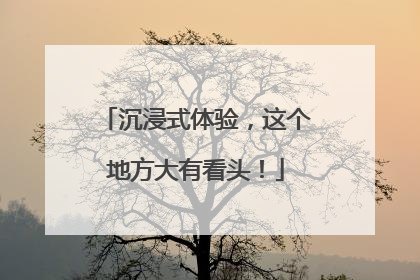 沉浸式体验，这个地方大有看头！