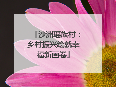 沙洲瑶族村：乡村振兴绘就幸福新画卷