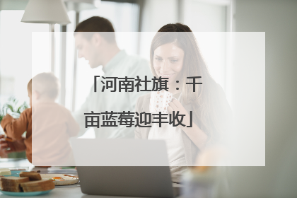 河南社旗：千亩蓝莓迎丰收