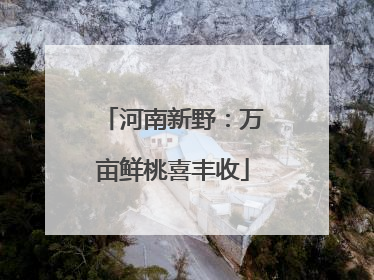 河南新野：万亩鲜桃喜丰收