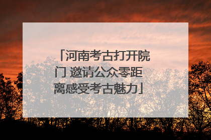 河南考古打开院门 邀请公众零距离感受考古魅力