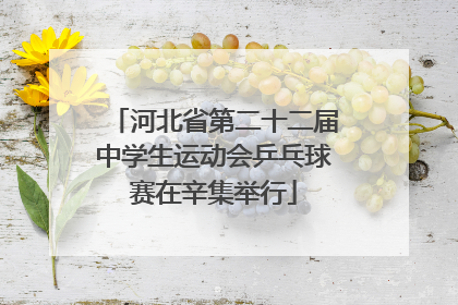 河北省第二十二届中学生运动会乒乓球赛在辛集举行