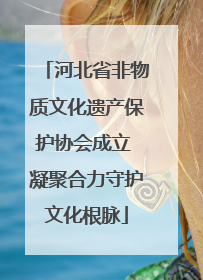 河北省非物质文化遗产保护协会成立 凝聚合力守护文化根脉