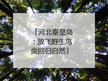河北秦皇岛：放飞野生鸟类回归自然