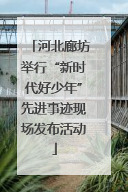 河北廊坊举行“新时代好少年”先进事迹现场发布活动