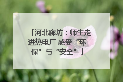 河北廊坊：师生走进热电厂 感受“环保”与“安全”