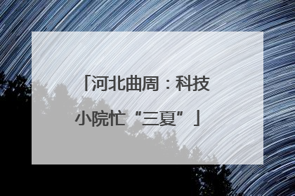 河北曲周：科技小院忙“三夏”