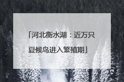 河北衡水湖：近万只夏候鸟进入繁殖期