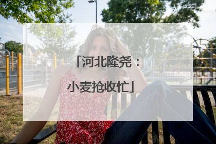 河北隆尧：小麦抢收忙