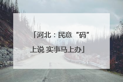 河北：民意“码”上说 实事马上办