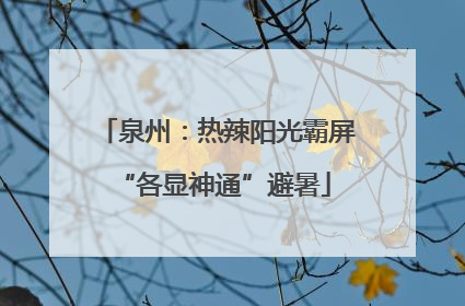 泉州：热辣阳光霸屏 “各显神通”避暑