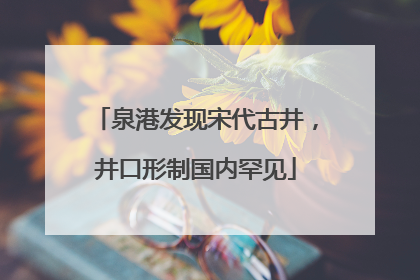 泉港发现宋代古井，井口形制国内罕见