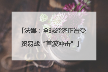 法媒：全球经济正遭受贸易战“首波冲击”