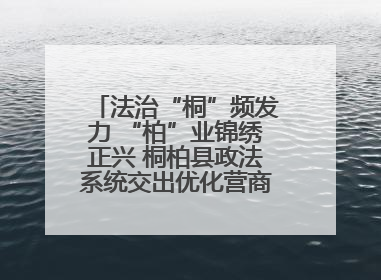 法治“桐”频发力 “柏”业锦绣正兴 桐柏县政法系统交出优化营商环境“成绩单”