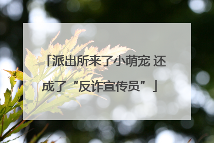 派出所来了小萌宠 还成了“反诈宣传员”