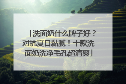 洗面奶什么牌子好？对抗夏日黏腻！十款洗面奶洗净毛孔超清爽