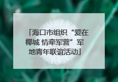海口市组织“爱在椰城 情牵军营”军地青年联谊活动