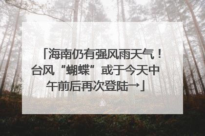 海南仍有强风雨天气！台风“蝴蝶”或于今天中午前后再次登陆→