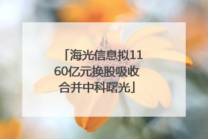 海光信息拟1160亿元换股吸收合并中科曙光
