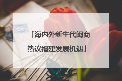 海内外新生代闽商热议福建发展机遇