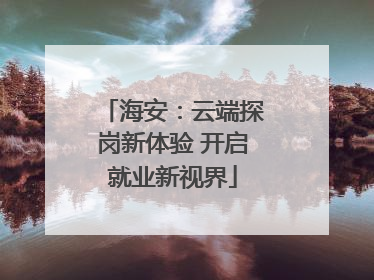 海安：云端探岗新体验 开启就业新视界