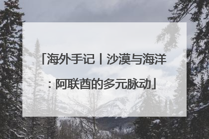 海外手记丨沙漠与海洋：阿联酋的多元脉动