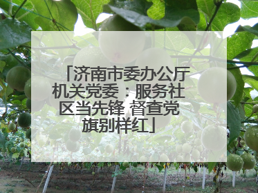 济南市委办公厅机关党委：服务社区当先锋 督查党旗别样红