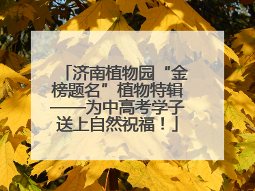 济南植物园“金榜题名”植物特辑——为中高考学子送上自然祝福！