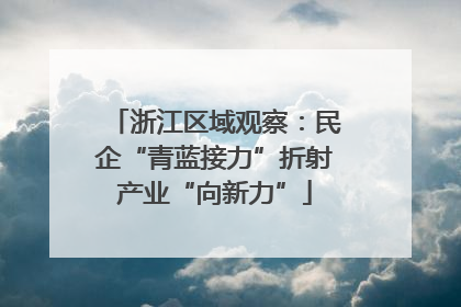 浙江区域观察：民企“青蓝接力”折射产业“向新力”