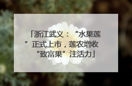 浙江武义：“水果莲”正式上市，莲农增收“致富果”注活力