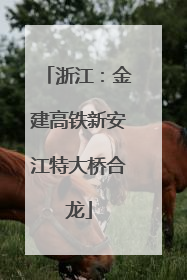 浙江：金建高铁新安江特大桥合龙