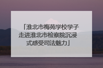 淮北市梅苑学校学子走进淮北市检察院沉浸式感受司法魅力