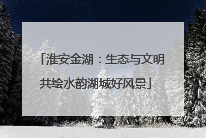 淮安金湖：生态与文明共绘水韵湖城好风景