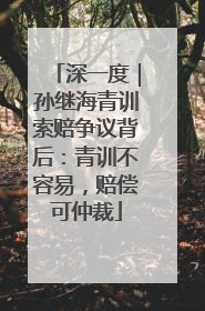 深一度｜孙继海青训索赔争议背后：青训不容易，赔偿可仲裁