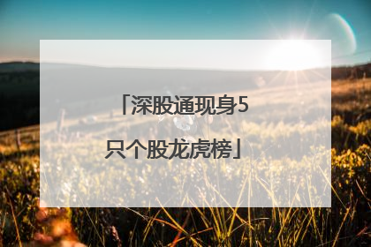深股通现身5只个股龙虎榜
