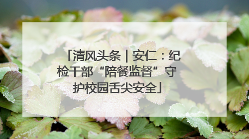 清风头条｜安仁：纪检干部“陪餐监督”守护校园舌尖安全