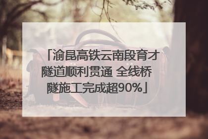 渝昆高铁云南段育才隧道顺利贯通 全线桥隧施工完成超90%