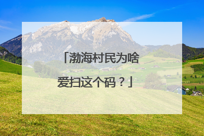 渤海村民为啥爱扫这个码？