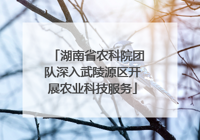 湖南省农科院团队深入武陵源区开展农业科技服务